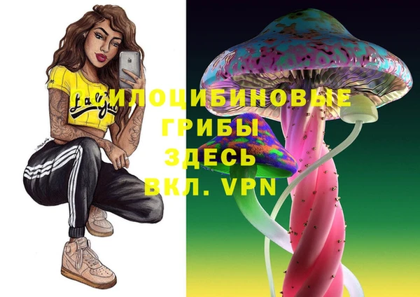 мдпв Володарск