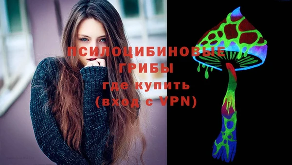 мдпв Володарск