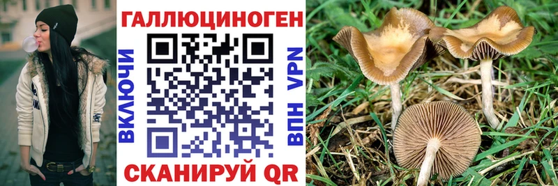 Псилоцибиновые грибы GOLDEN TEACHER  Купить закладки  Джанкой 